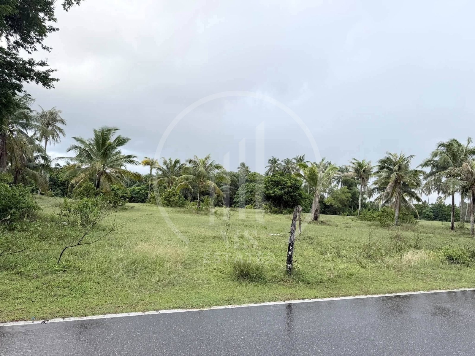 Land for sale in Phang Nga. – photo 2