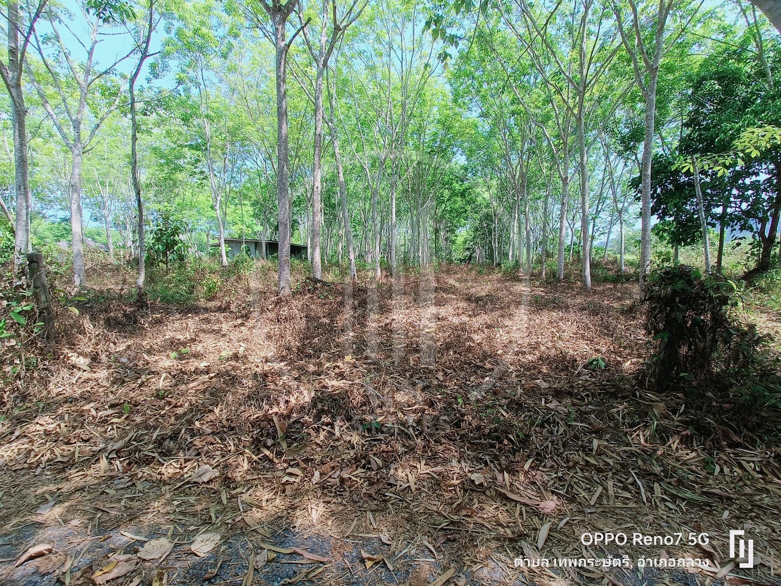 Land for sale in Baan Khuan
