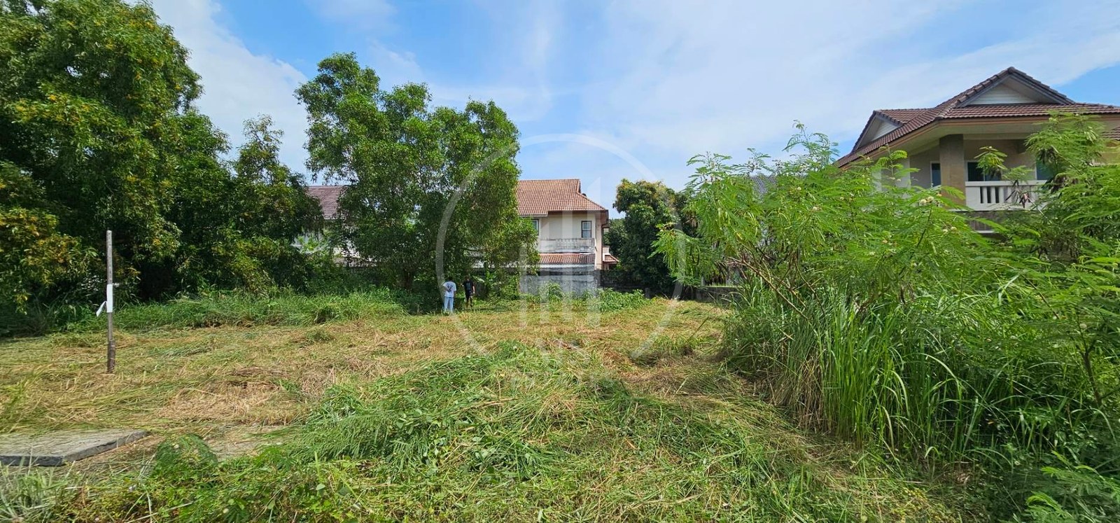 Land for Sale in Sapam – photo 2