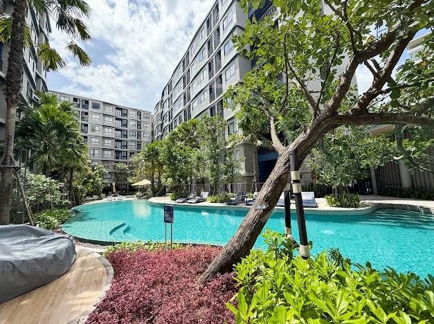 D Condo Reef , Kathu – photo 4