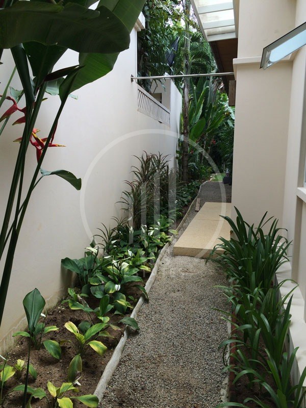 Villas for rent and sale – photo 5