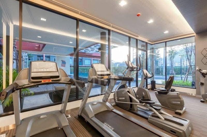 D Condo Kathu-Patong – photo 3