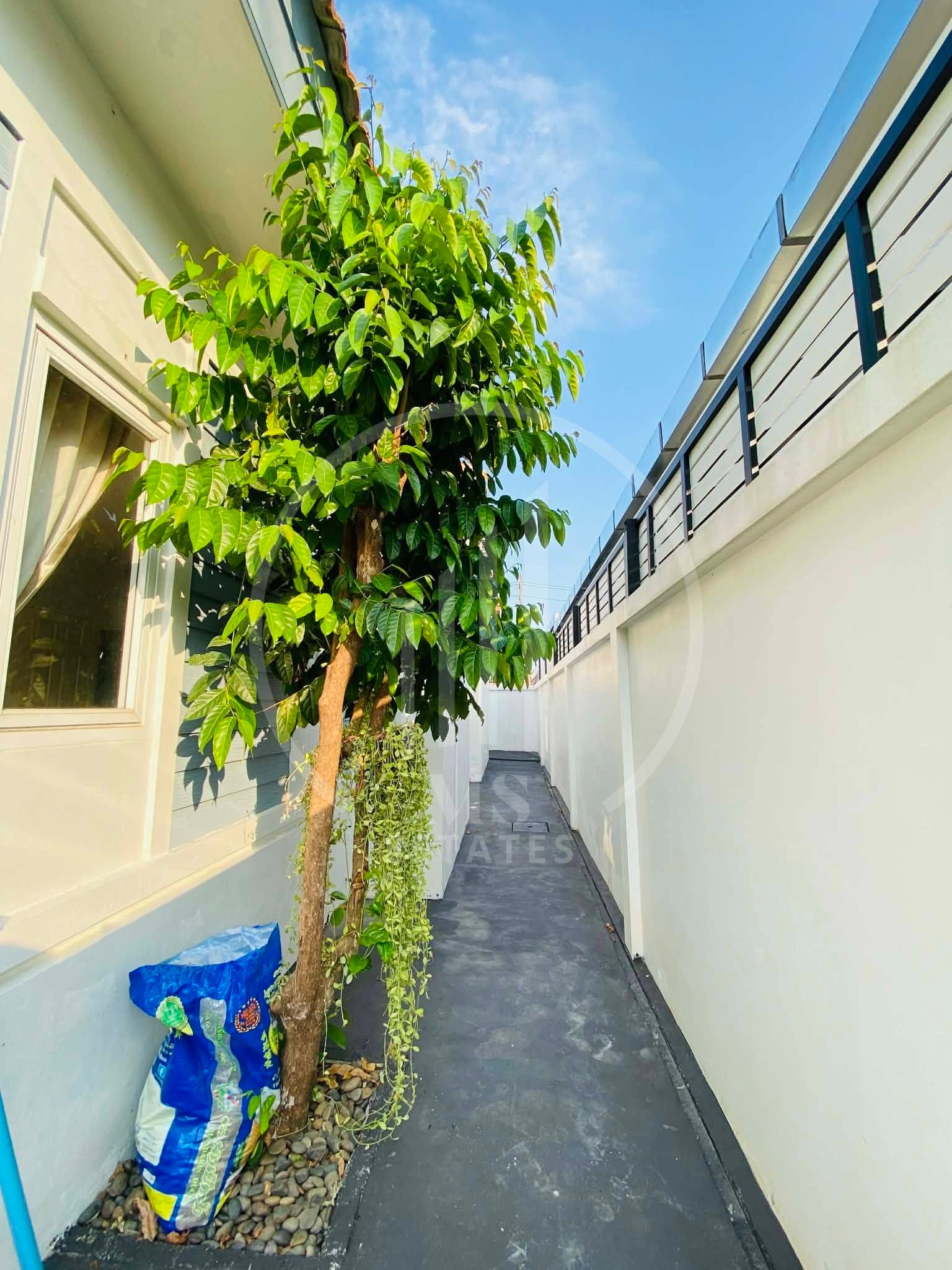 Kathu Villa 1 – photo 5