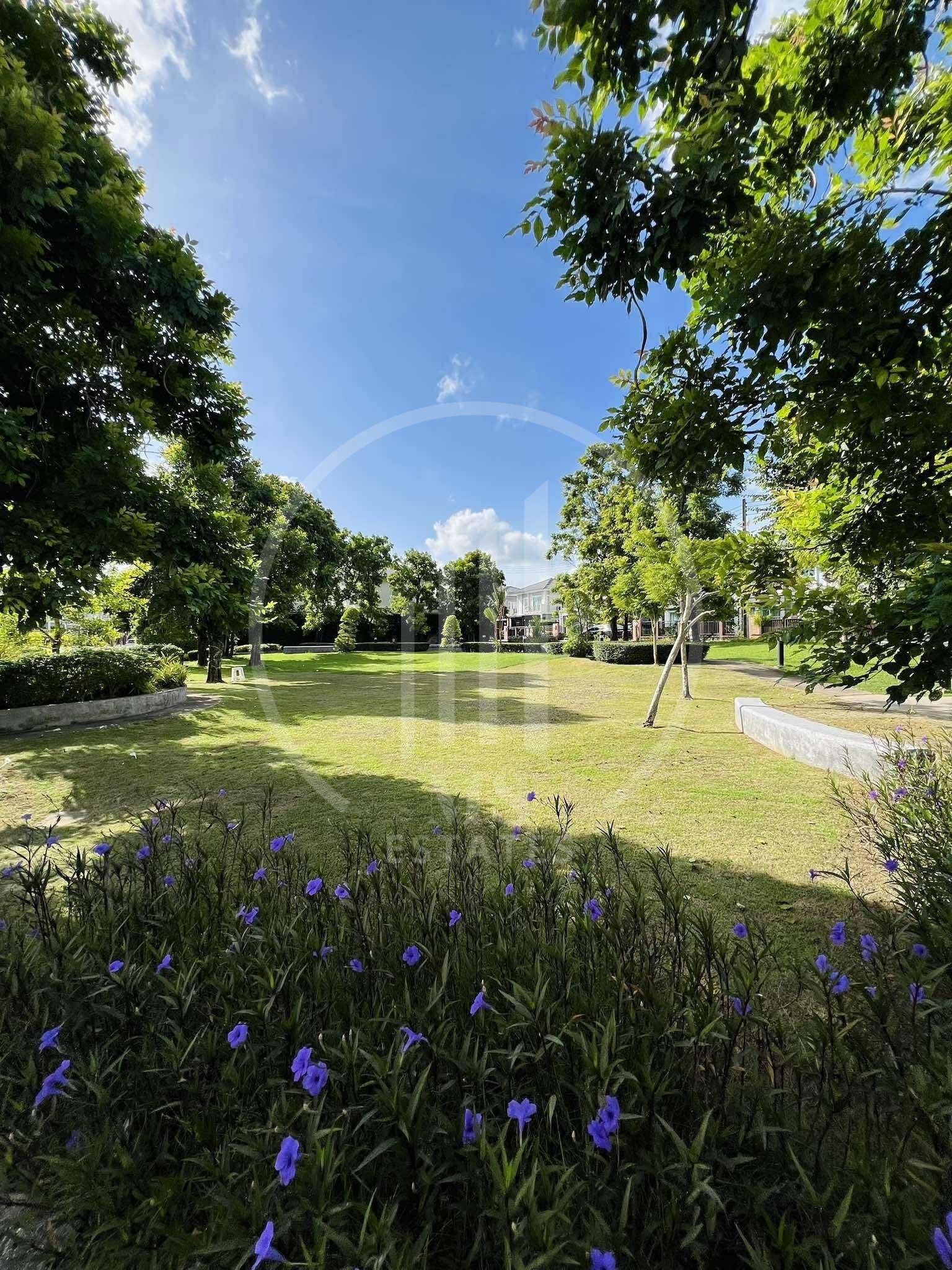 Passorn , Koh Kaew