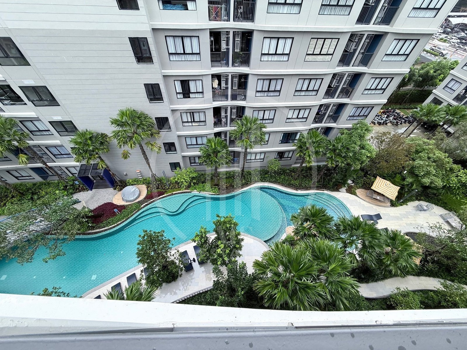 D Condo Reef