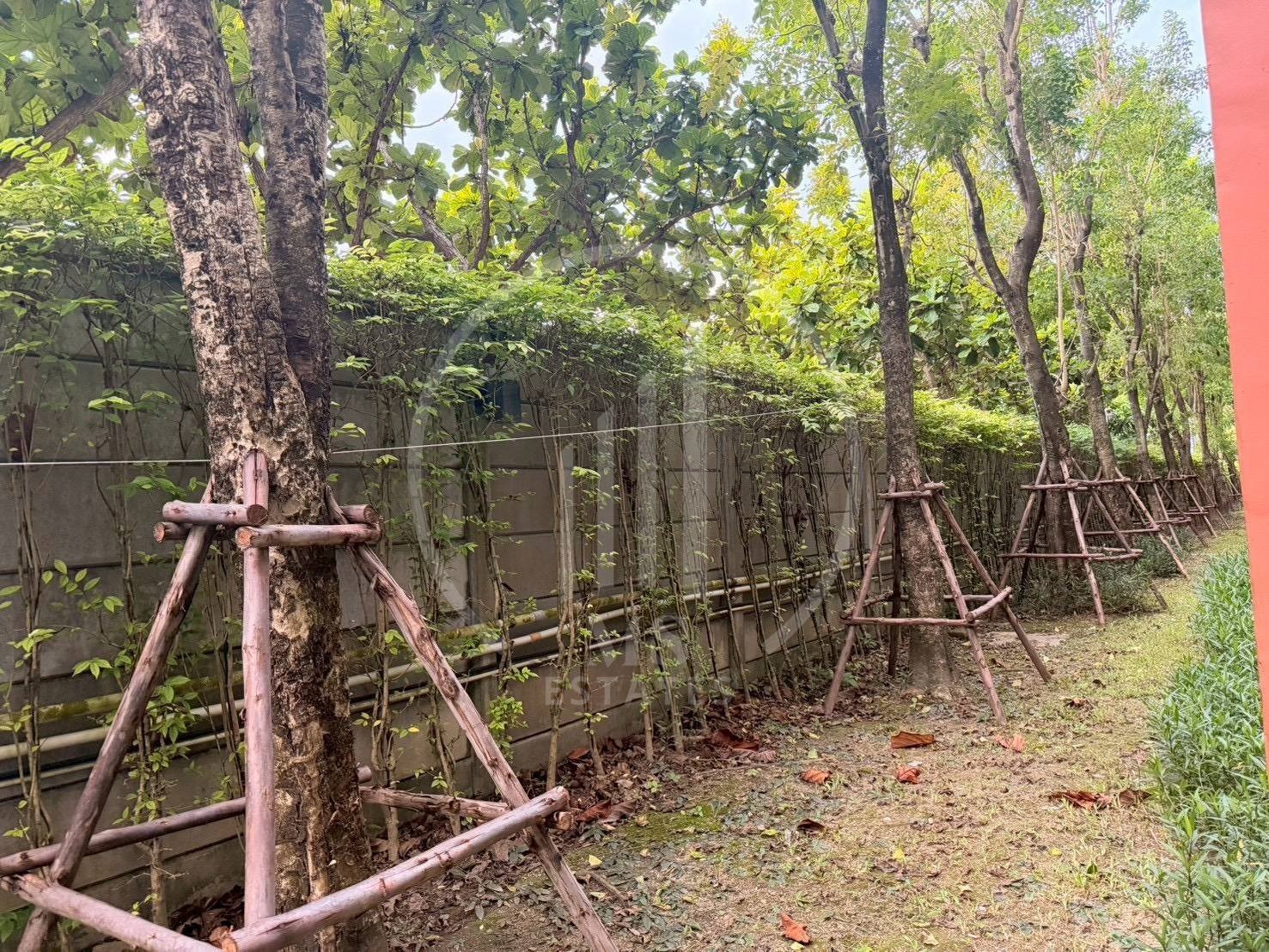 Dcondo Kathu-Patong – photo 3