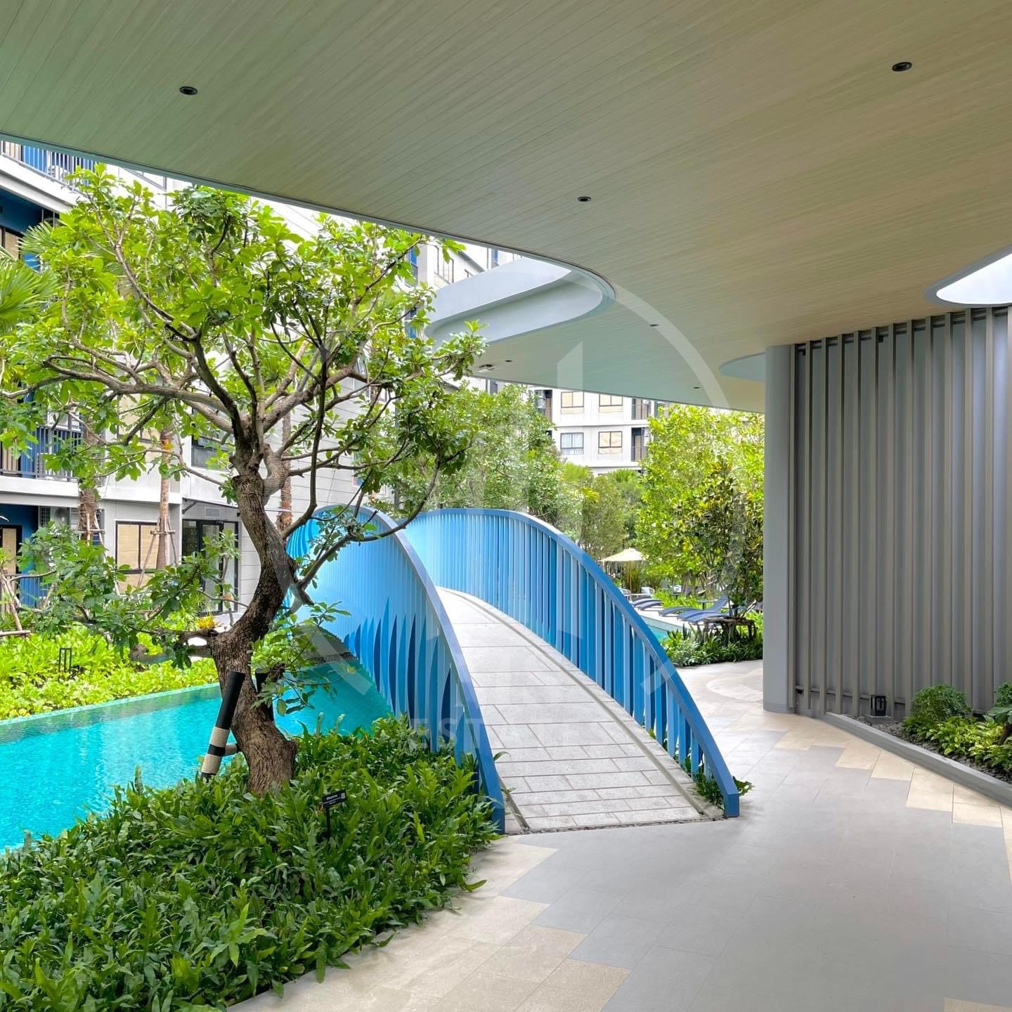 D Condo Reef