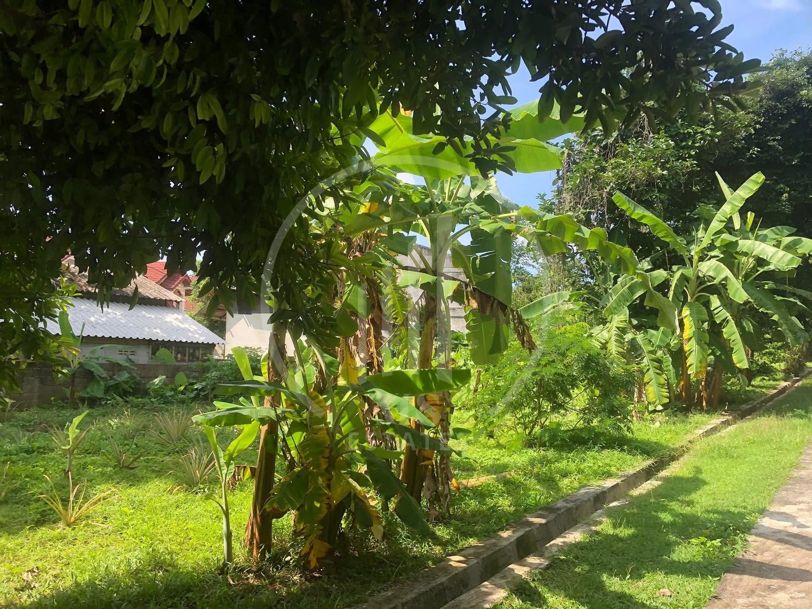 Land & House 88 Koh Kaew – photo 2