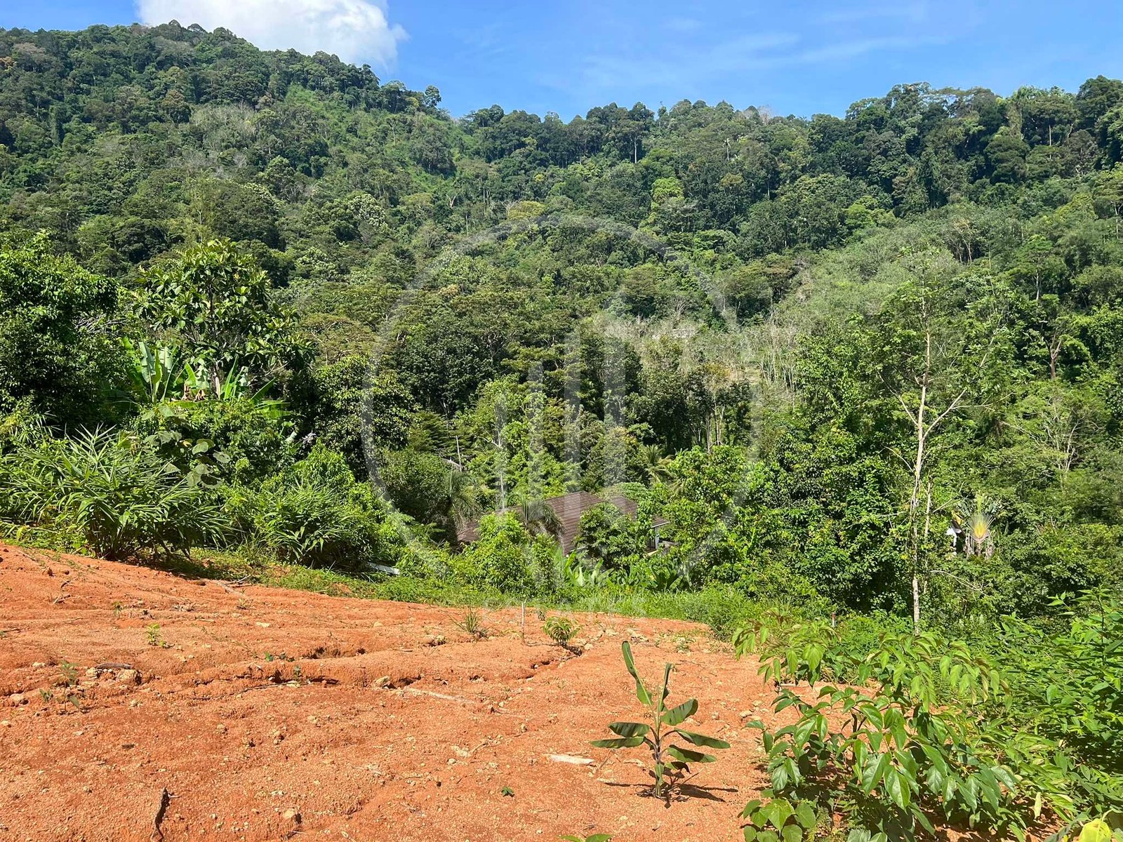 Land for Sale in Kathu – photo 4