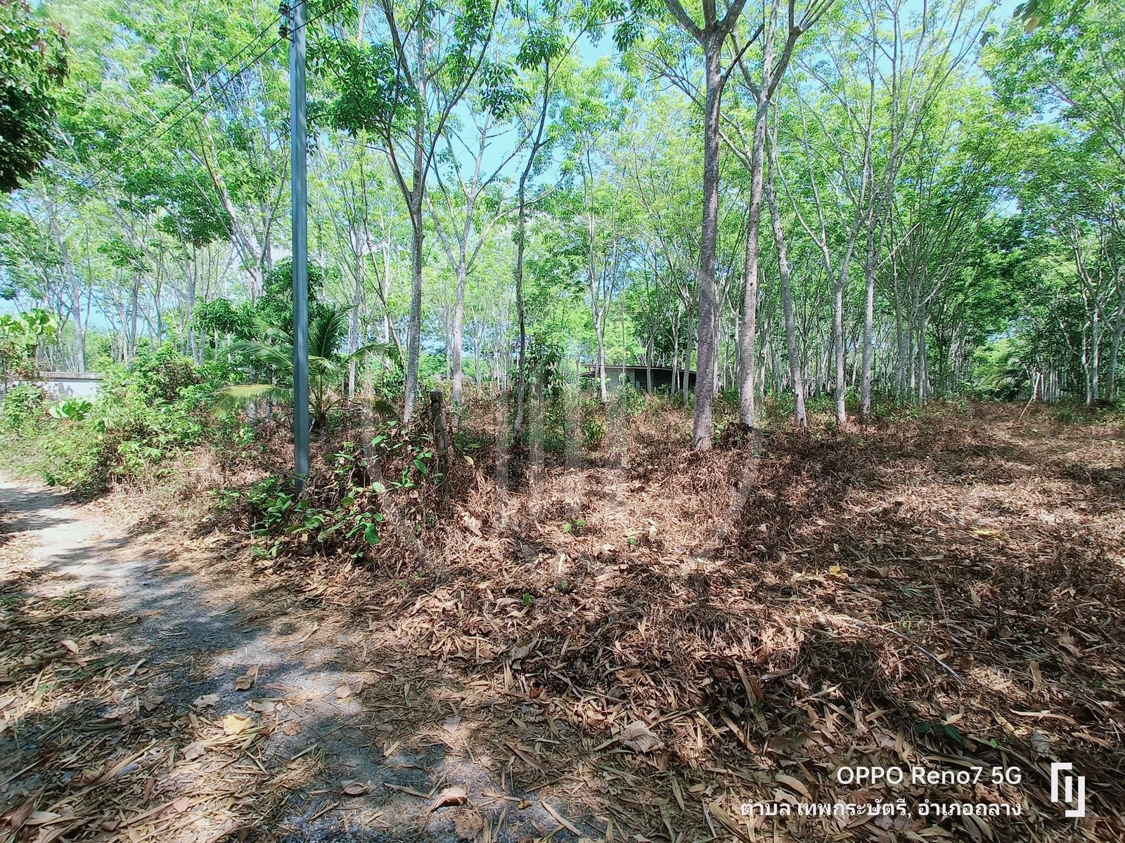 Land for sale in Baan Khuan – photo 4